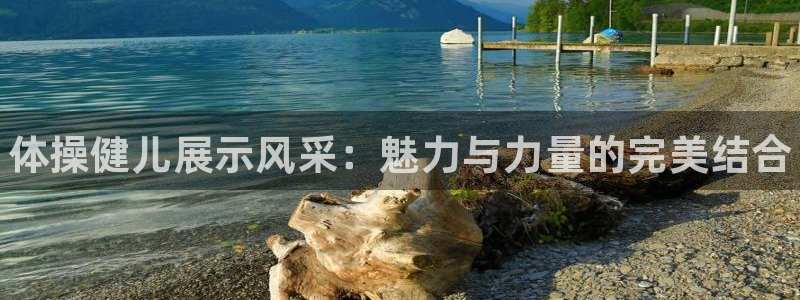 MK体育官方正版app娱乐：体操健儿展示风采：魅力与力量的完