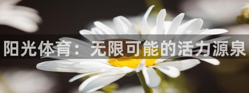 MK体育官方正版app集团简介：阳光体育：无限可能的活力源泉