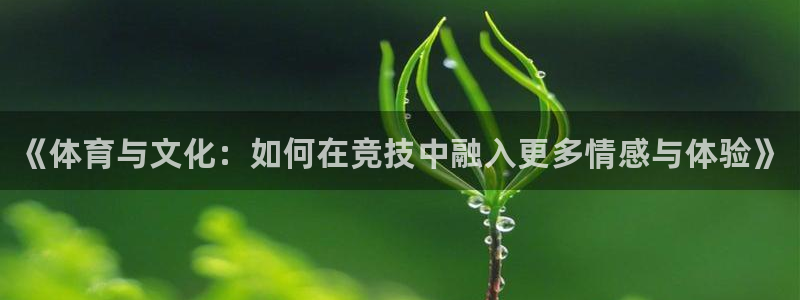 MK体育官网下载招商电话地址是多少：《体育与文化：如