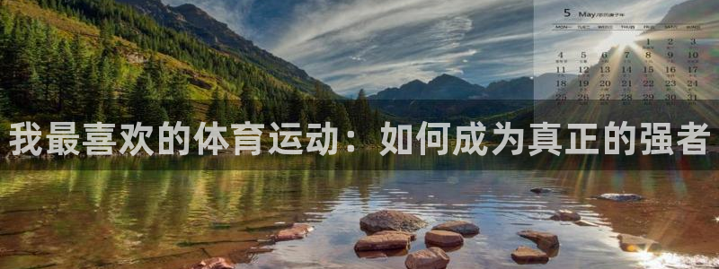 MK体育官方正版app集团官网首页：我最喜欢的体育运动：如何