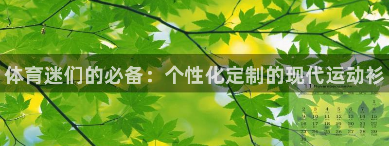 MK体育官网下载平台是正规平台吗安全吗：体育迷们的必备：个性