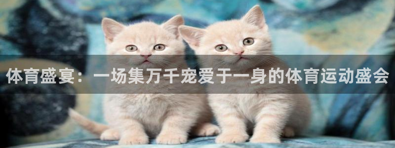 MK体育官网下载平台假的吗是真的吗：体育盛宴：一场集万千宠爱