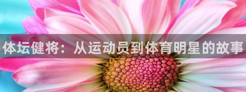 MK体育官方正版app娱乐平台