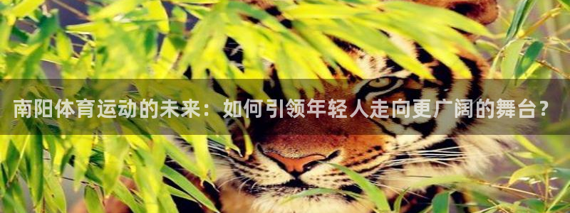 MK体育官网下载平台注册流程图：南阳体育运动的未来：