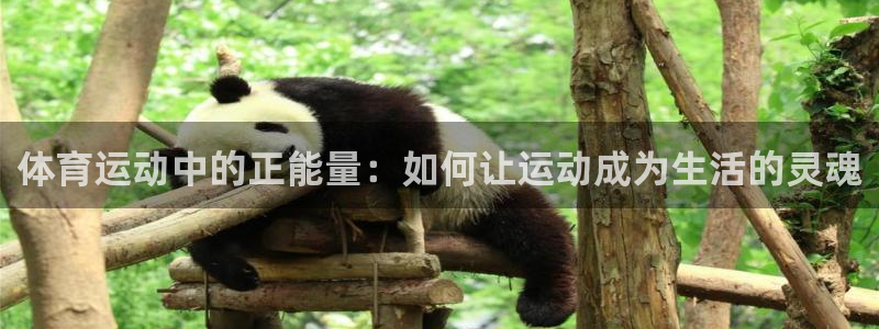 MK体育官网下载平台是正规平台吗知乎