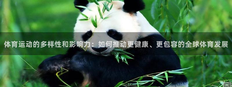 MK体育官方正版app代理：体育运动的多样性和影响力：如何推