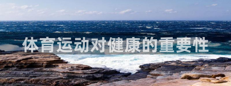 MK体育官方正版app集团简介