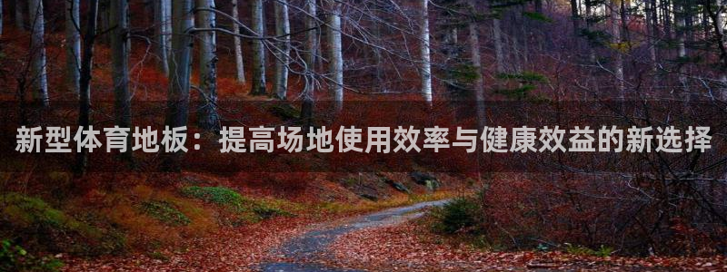 MK体育官方正版app集团官网网址：新型体育地板：提高场地使