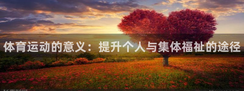 MK体育官网下载开户：体育运动的意义：提升个人与集体