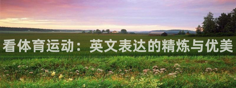 MK体育官方正版app娱乐首页网站大全