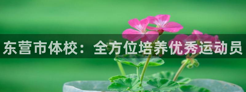 MK体育官网下载招商：东营市体校：全方位培养优秀运动员