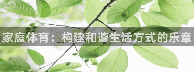MK体育官网下载招商电话是多少啊：家庭体育：构建和谐