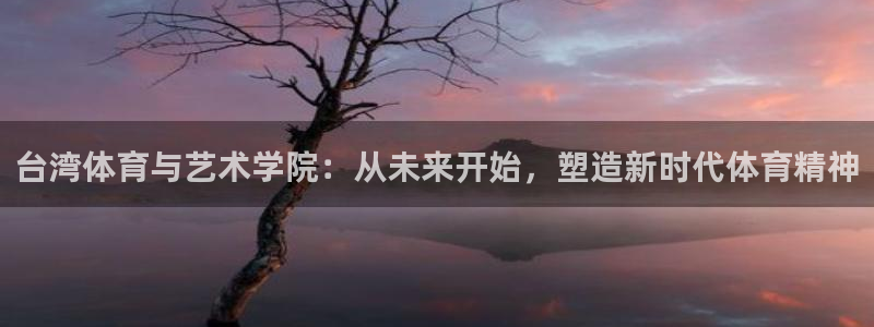 MK体育官方正版app集团官网首页网址：台湾体育与艺术学院：