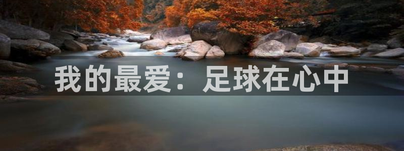 MK体育官方正版app五金厂：我的最爱：足球在心中