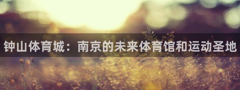 MK体育官网下载平台注册：钟山体育城：南京的未来体育